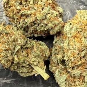 Alien Dawg 3.5G, 25% THC [ INDICA ]