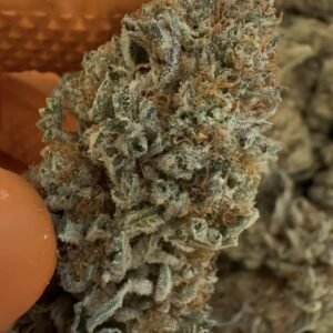 Cookies 3.5G Strong Indica