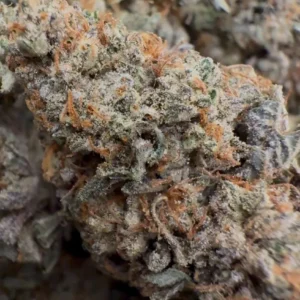 Purple Guava Dawg [ INDICA ] 3.5G