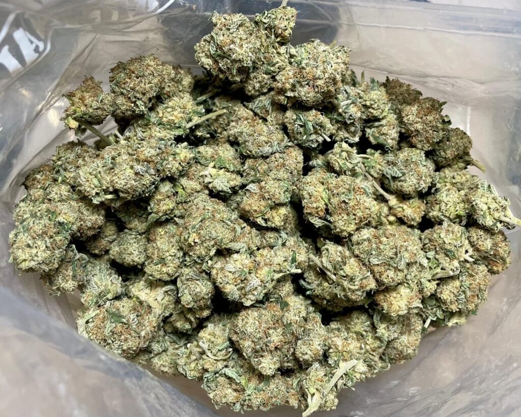 Where to Buy Psychedelics Legally UK | Ghost Goodies