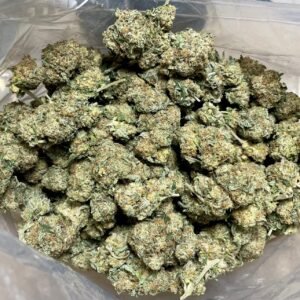 Premium Skunk 3.5G, Hybrid, 17% THC