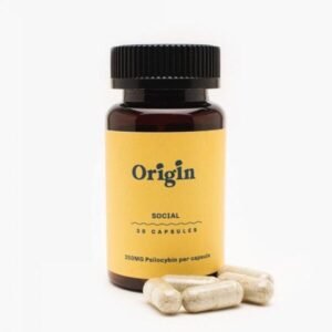 Social Capsules-Origin Mushroom
