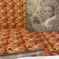 Albert Hofmann 250UG 200TABS