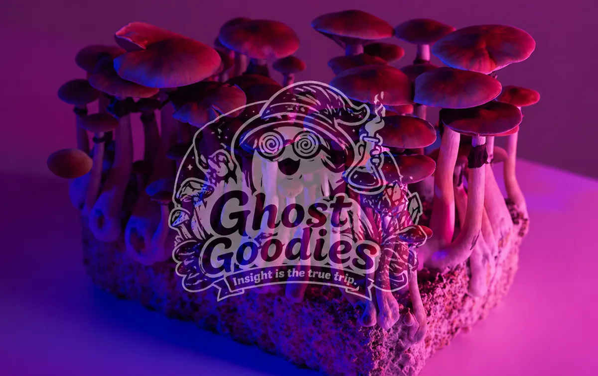 Premium Quality Psychedelics for sale UK