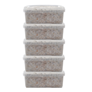 Magic Mushroom Grow kits